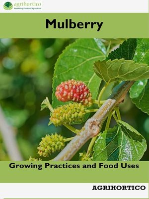 cover image of Mulberry